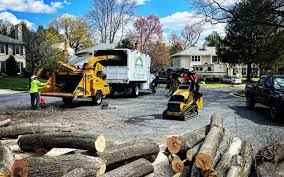 Best Leaf Removal  in Spanay, WA